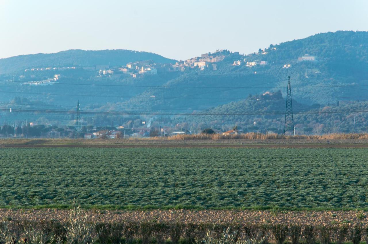 Agriturismo Il Cuscino Nel Pagliaio Villa Campiglia Marittima Esterno foto