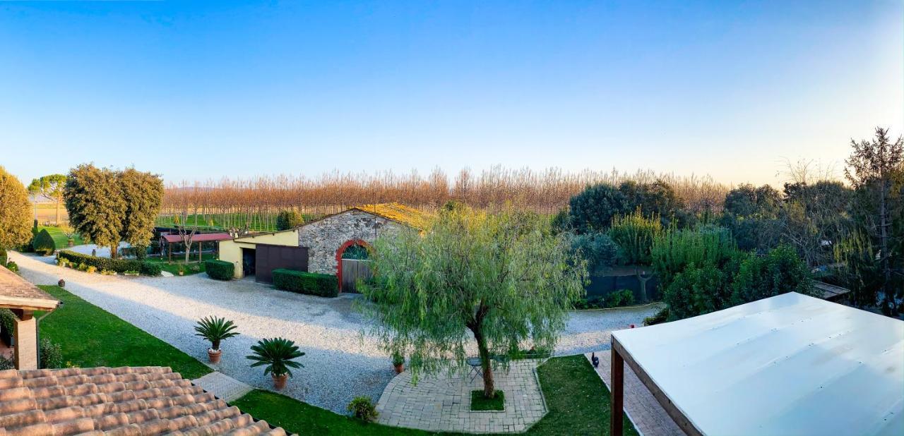 Agriturismo Il Cuscino Nel Pagliaio Campiglia Marittima Esterno foto