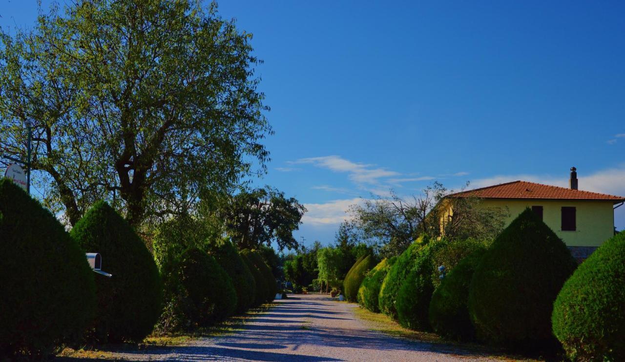 Agriturismo Il Cuscino Nel Pagliaio Villa Campiglia Marittima Esterno foto