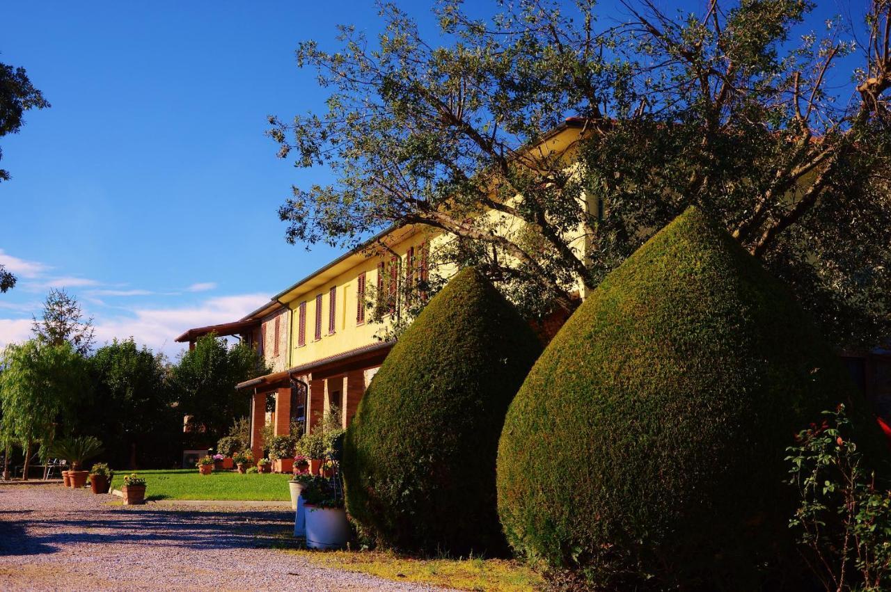 Agriturismo Il Cuscino Nel Pagliaio Campiglia Marittima Esterno foto