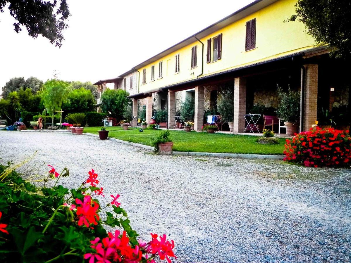 Agriturismo Il Cuscino Nel Pagliaio Villa Campiglia Marittima Esterno foto