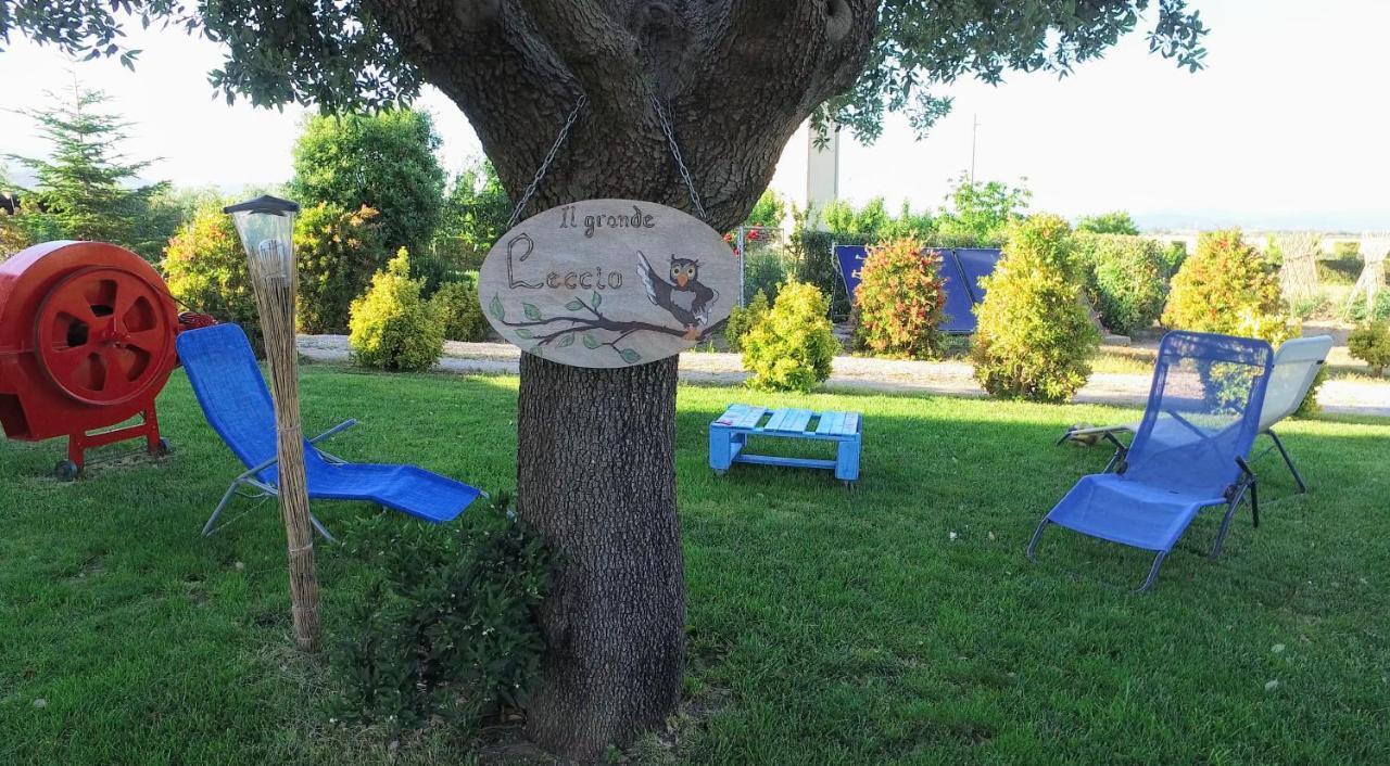 Agriturismo Il Cuscino Nel Pagliaio Campiglia Marittima Esterno foto
