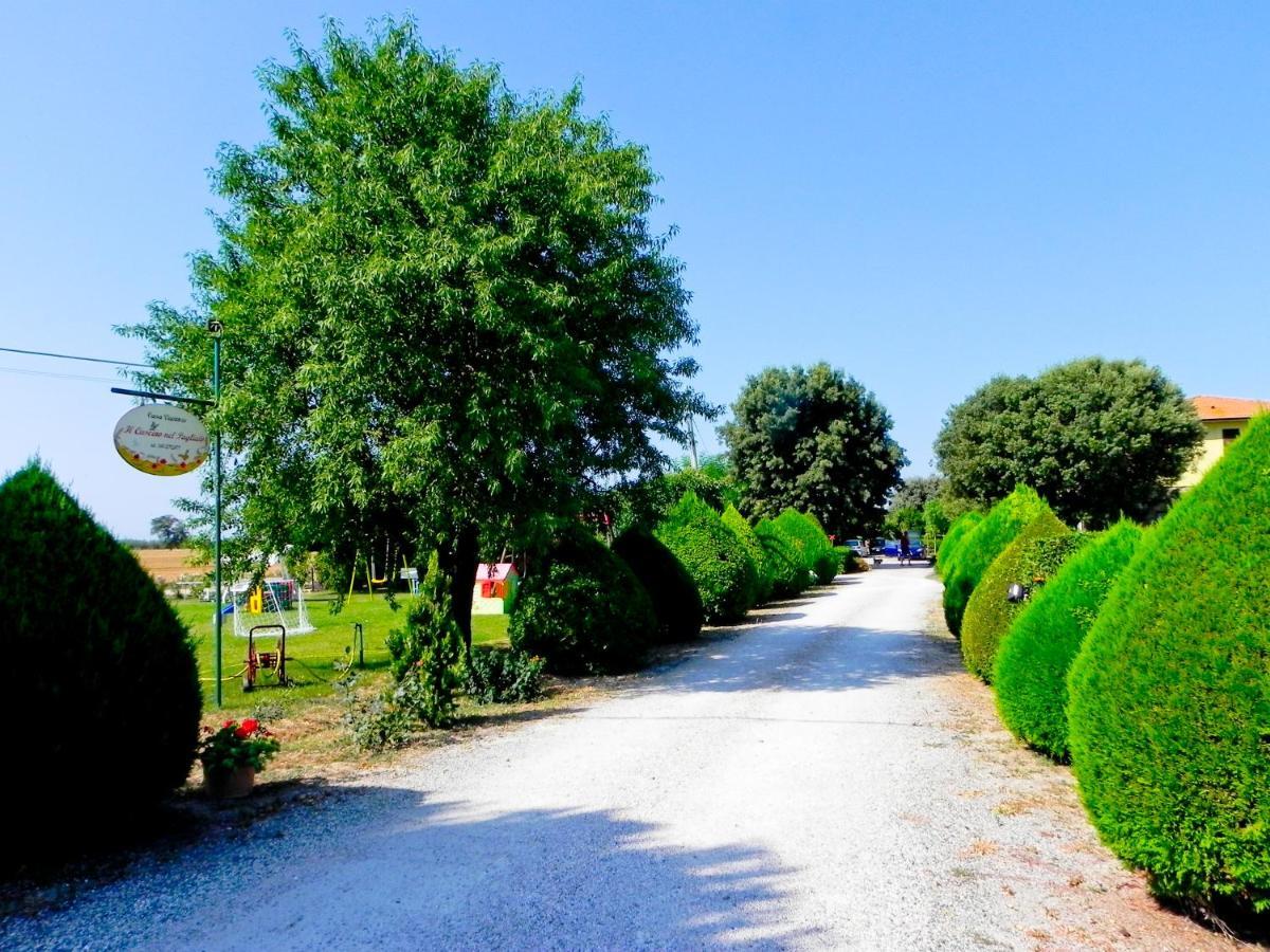 Agriturismo Il Cuscino Nel Pagliaio Campiglia Marittima Esterno foto