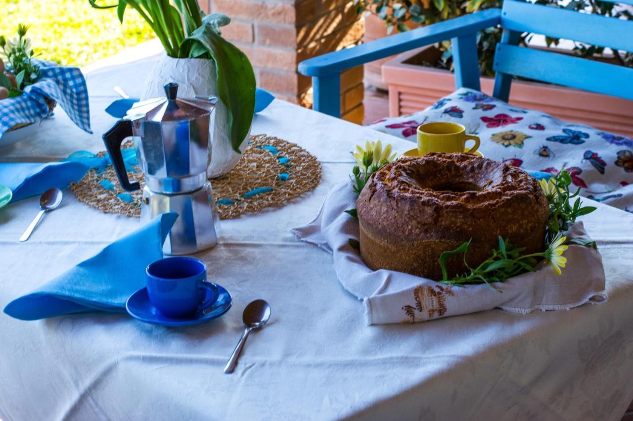 Agriturismo Il Cuscino Nel Pagliaio Villa Campiglia Marittima Esterno foto