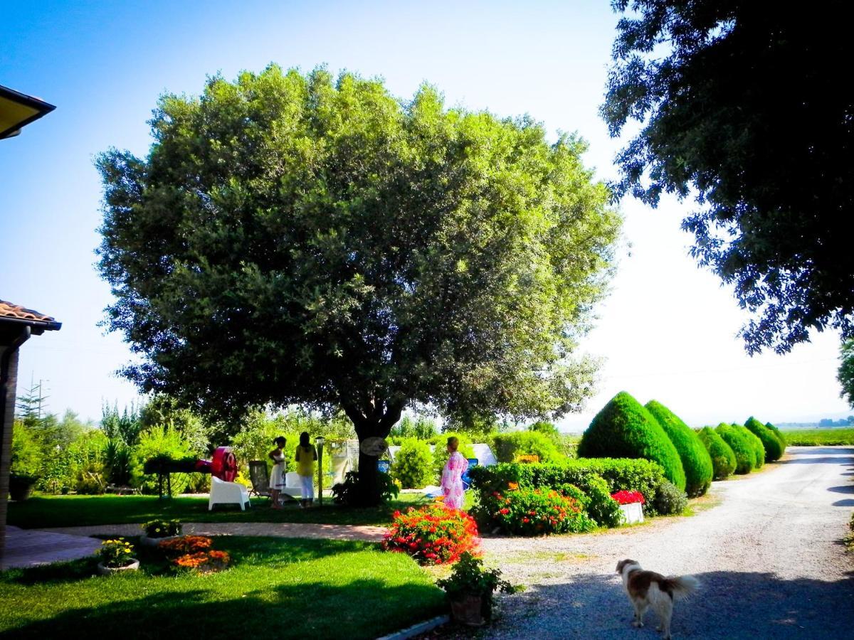 Agriturismo Il Cuscino Nel Pagliaio Campiglia Marittima Esterno foto