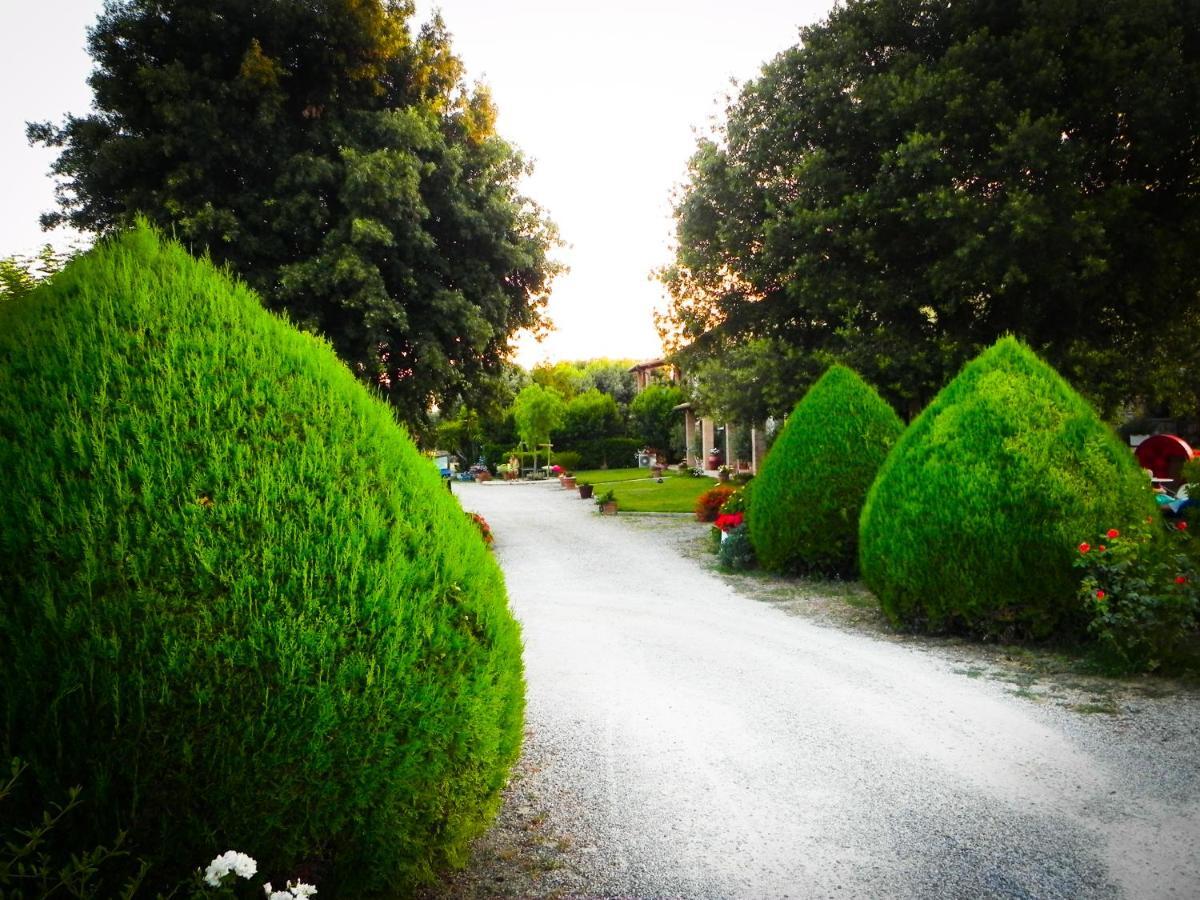 Agriturismo Il Cuscino Nel Pagliaio Villa Campiglia Marittima Esterno foto