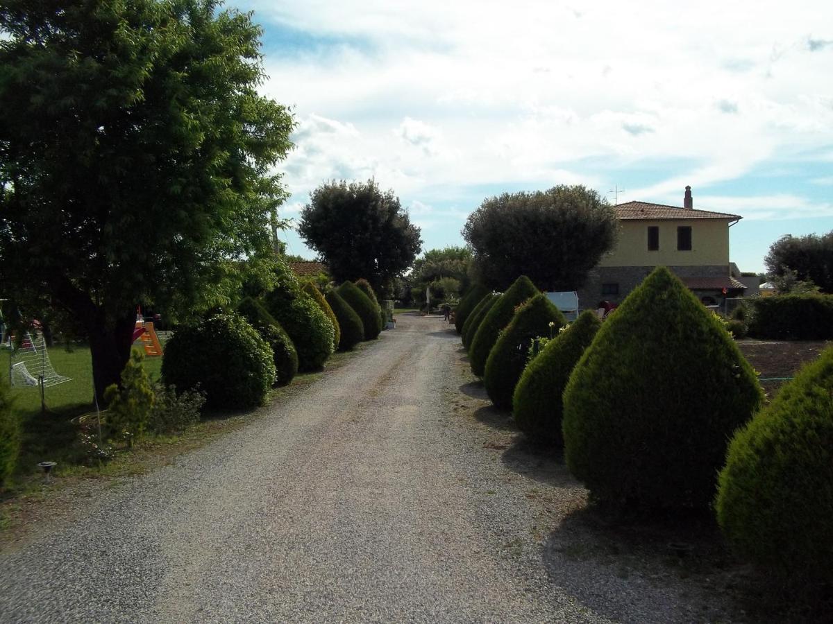 Agriturismo Il Cuscino Nel Pagliaio Villa Campiglia Marittima Esterno foto