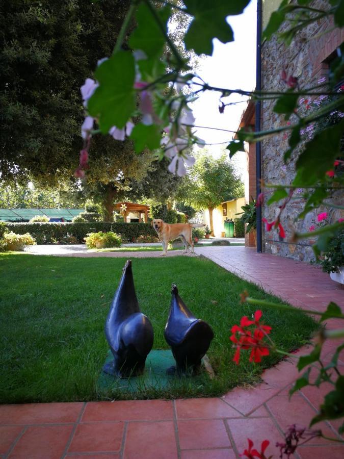 Agriturismo Il Cuscino Nel Pagliaio Villa Campiglia Marittima Esterno foto