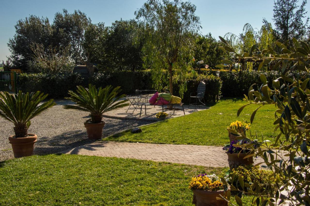 Agriturismo Il Cuscino Nel Pagliaio Villa Campiglia Marittima Esterno foto