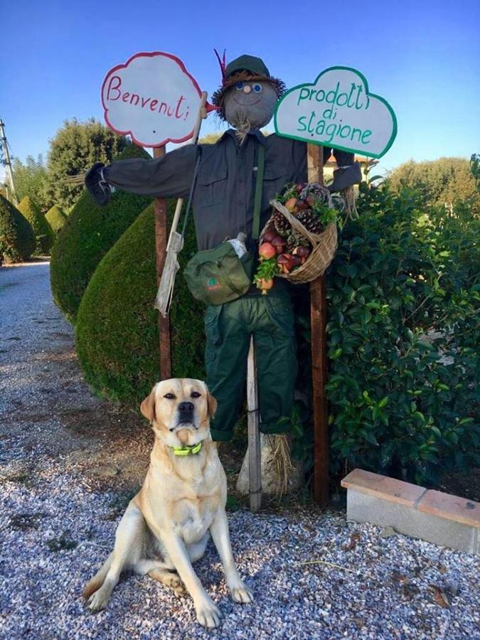 Agriturismo Il Cuscino Nel Pagliaio Villa Campiglia Marittima Esterno foto